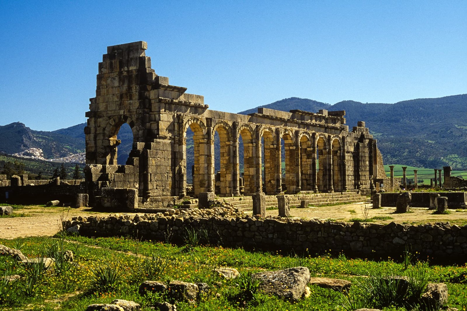 volubilis