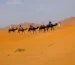 beautiful nature Merzouga tedrart