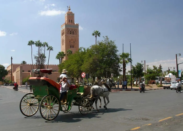 tours-program-9-0-2023-06-20-at-11-57-49